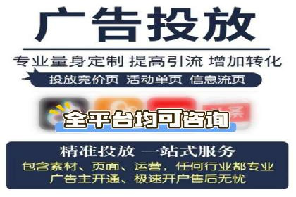 SEM代运营公司案例分析报告